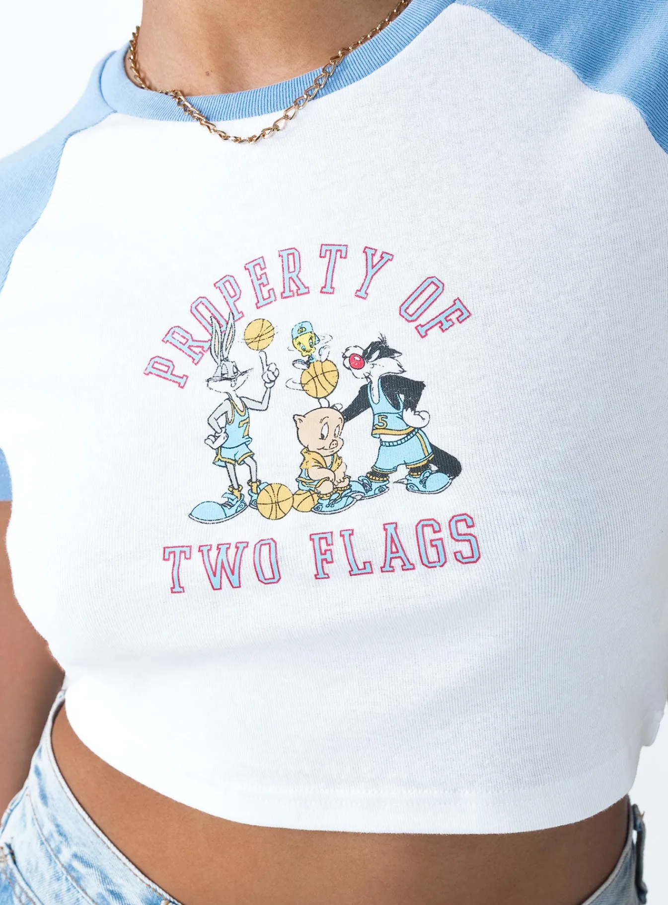 Princess Polly Looney Tunes Two Flags Cropped Tee/ Blue White Cheap