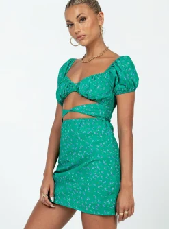 Princess Polly Nakita Mini Dress  Green Cheap