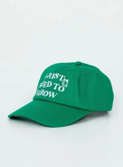 Princess Polly Need To Grow Dad Cap  Green Discount