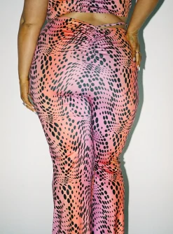 Princess Polly Radiant Pantscurve   Multi Clearance