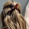 Princess Polly Stephy Hair Clip  Brown Hot