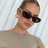 Princess Polly Winnick Sunglasses  Tort Fashion